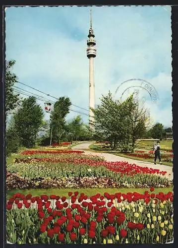 AK Dortmund, Bundesgartenschau 1959, Blühende Gartenschau vor dem Aussichts- und Fernmeldeturm