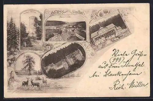 AK Tannroda, Turmruine Tannroda, REstaurant Waldschlösschen, Die Harth