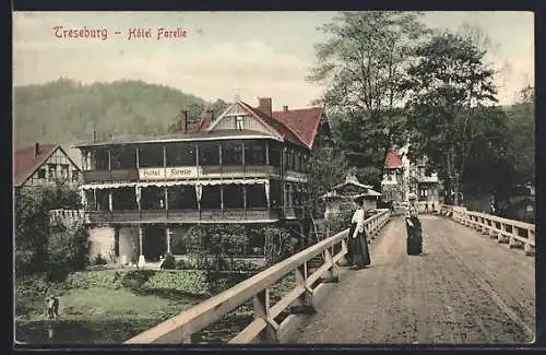 AK Treseburg im Harz, Hôtel Forelle