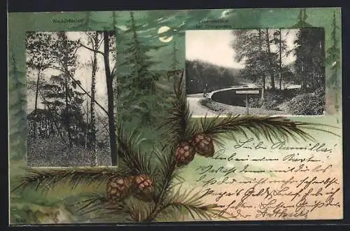 Lithographie Dreiwerden, Gasthaus Waldfrieden, Zschopauthal, Tannenwald mit Tannenzapfen bei Mondschein, Passepartout