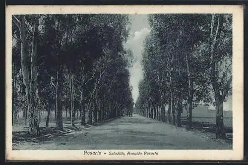 AK Rosario, Saladillo, Avenida Rosario