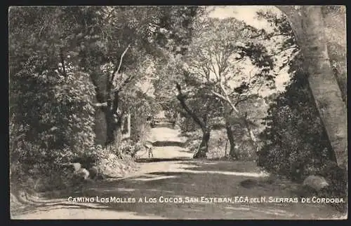 AK San Esteban, Camino los Molles a los Cocos