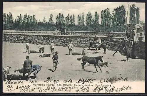 AK San Rafael /Mendoza, Marcando Potros