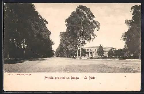 AK La Plata, Avenida principal del Bosque