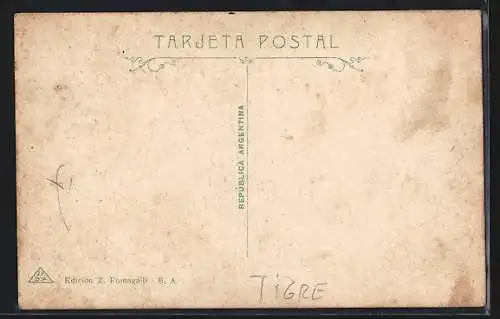 AK Tigre, Tigre Hotel