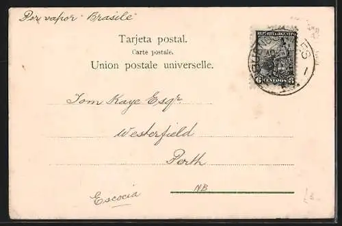 AK Tigre, Regatas en el Tigre