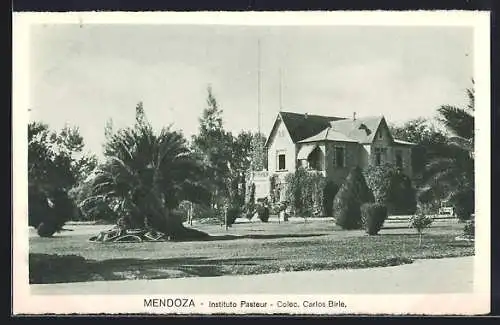 AK Mendoza, Instituto Pasteur