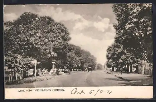 AK Wimbledon Common, Park Side