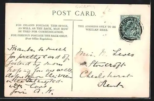 AK Wimbledon Common, Park Side