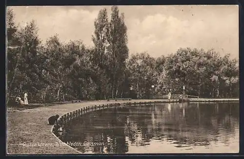 AK Wimbledon Common, Queen`smere