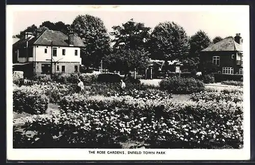 AK Enfield, Town Park, The Rose Gardens
