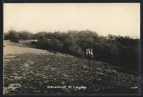 AK Groham Hurst nr. Croydon, Panorama