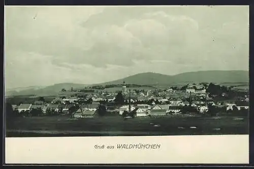 AK Waldmünchen, Gesamtansicht