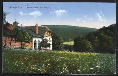 AK Zeitz, Zeitzer Forst, Partie an der Schneidemühle
