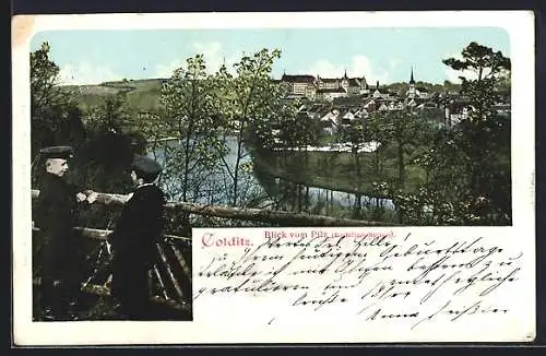 AK Colditz, Blick vom Pilz Rochlitzer Strasse auf den Ort