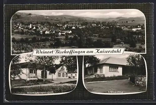 AK Bischoffingen am Kaiserstuhl, Winzergenossenschaft, Krankenhaus, Gesamtansicht