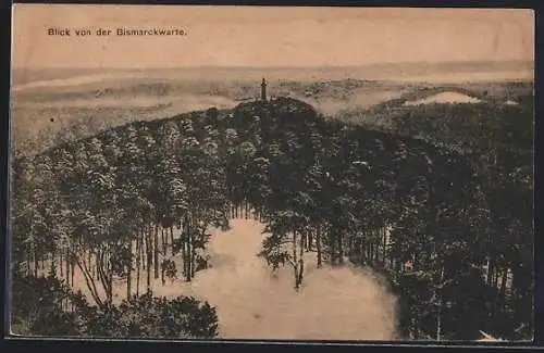 AK Berlin-Köpenick, Cöpenick, Blick von der Bismarckwarte