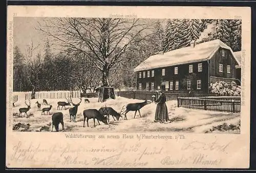 AK Finsterbergen i. Th., Wildfütterung am neuen Haus