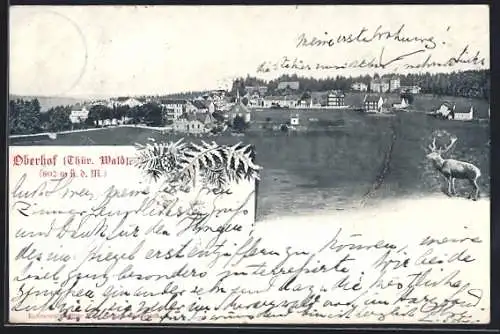 AK Oberhof /Thür. Wald, Ortsansicht mit Hirsch