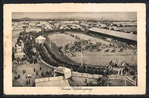 AK München, Wander-Ausstellung 1929, Grosser Vorführungsring