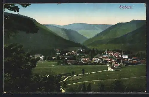 AK Tabarz, Blick vom Waldesrand auf die Ortschaft