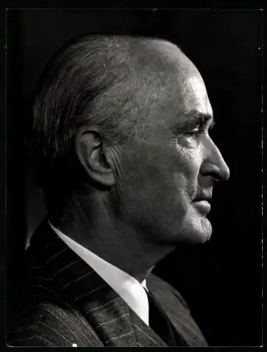 Fotografie Karsh, Ottawa, deutscher Industrieller Alfred Krupp von Bohlen und Halbach im Seitenprofil