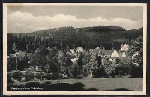 AK Georgenthal-Finkenberg / Thüringen, Ortsansicht von der Weide aus gesehen