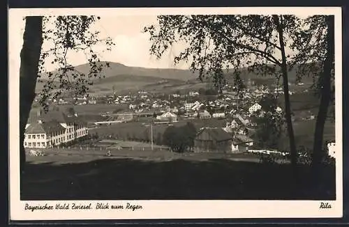 AK Zwiesel / bayr. Wald, Blick zum Regen