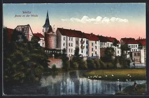 AK Weida / Thür., Teilansicht mit Partie an der Weida