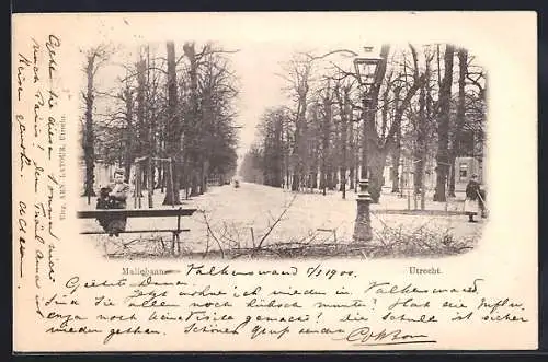 AK Utrecht, Maliebaan