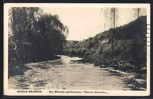 AK Bahia Blanca, Un Rincón pintoresco Sauce Grande
