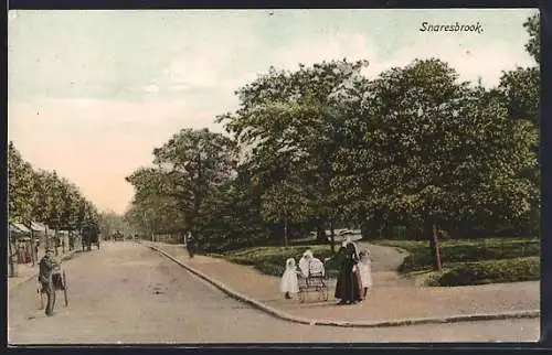 AK Snaresbrook, Strassenpartie mit Parkanlage