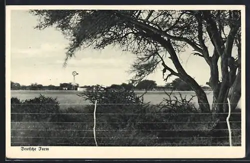 AK Deutsch-Südwest-Afrika, Blick auf eine deutsche Farm