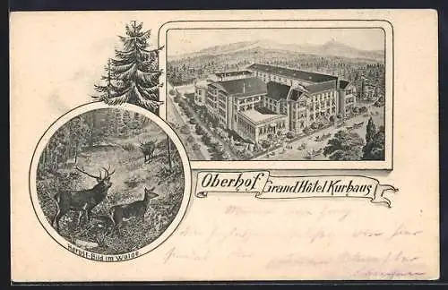 Lithographie Oberhof / Thüringen, Grand Hotel Kurhaus und Herbst-Bild im Walde