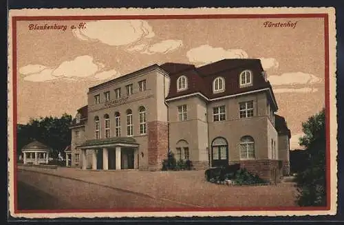 AK Blankenburg a. H., Blick auf den Fürstenhof