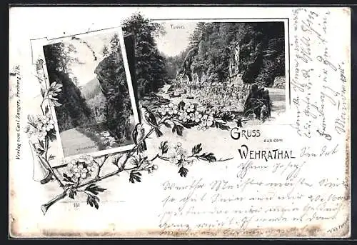 AK Wehr / Wehratal, Tunnel und Hirschsprung im Wehratal