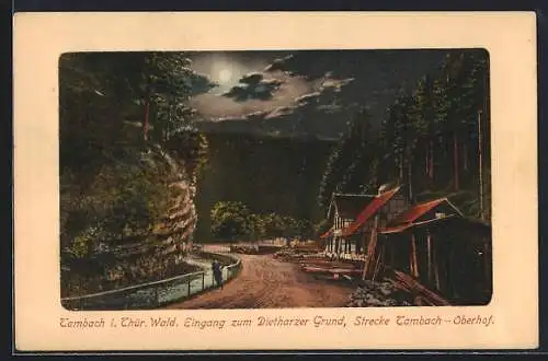 AK Tambach / Thür. Wald, Eingang zum Dietharzer Grund