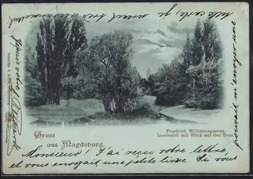 Mondschein-AK Magdeburg, Friedrich Wilhelmsgarten, Inselteich mit Blick auf den Dom