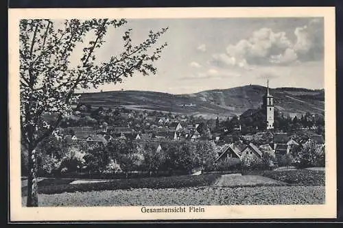 AK Flein / Neckar, Blick auf den Ort mit Kirche
