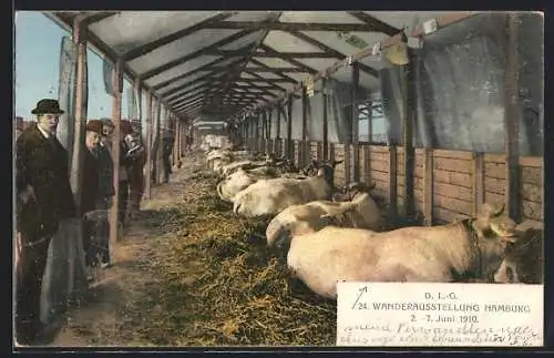 AK Hamburg, 24. Wanderausstellung der deutschen Landwirtschafts-Gesellschaft 1910, Rinder im Stall