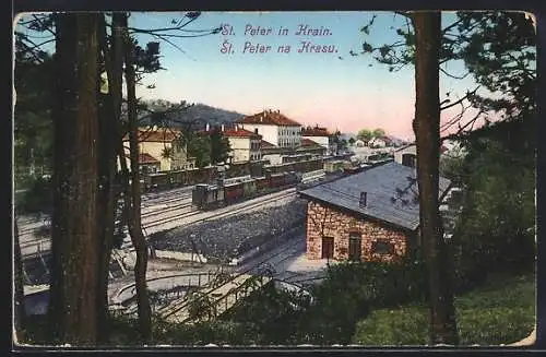 AK St. Peter in Krain, Blick auf den Bahnhof mit Zügen