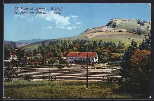 AK St. Peter in Krain, Bahnhof und Berglandschaft