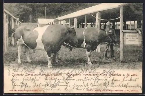 AK Frankfurt a. M., Dreizehnte Wanderausstellung 1899, Deutsche Landwirtschaftsgesellschaft