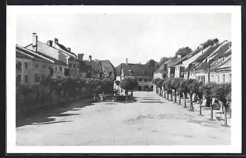 AK Wimsbach /Oberdonau, Strassenpartie mit Schloss-Bräu-Gasthaus