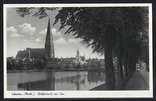 AK Schwerin / Mecklenburg, Pfaffenteich mit Dom im Hintergrund