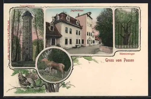 AK Sondershausen / Thüringen, Partie am Jagdschloss, Bärenzwinger, Aussichtsturm