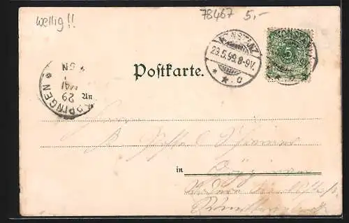 Lithographie Konstanz, Münster, Bodensee Dampfer, Landungssteg
