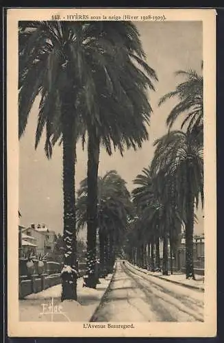 AK Hyères, L`Avenue Beauregard sous la neige en hiver 1928-1929