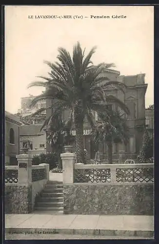 AK Le Lavandou, Pension Cécile et palmiers majestueux
