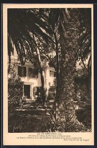 AK Port-Cros, Derrière un rideau de Palmiers et d`Eucalyptus, Le Manoir d`Hélène et sa grâce mystérieuse